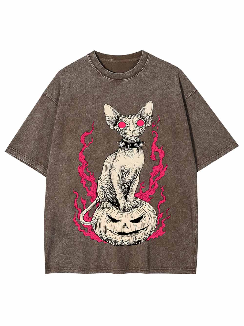 Hairless Cat Pumpkin Flame Washed Tshirt