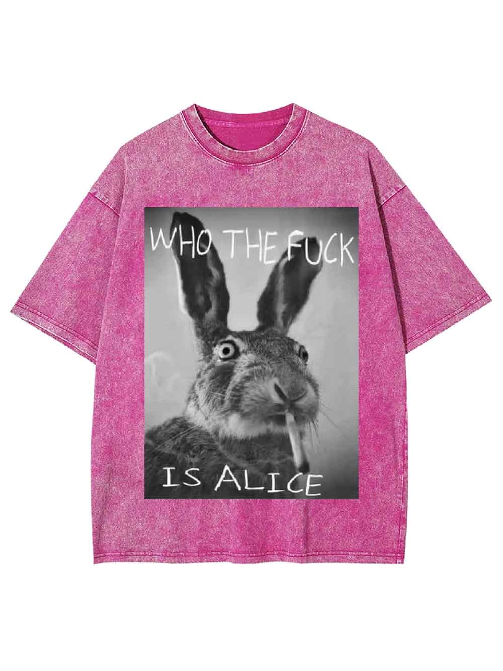 WHO THE FUCK IS ALICE WASHED TSHIRT