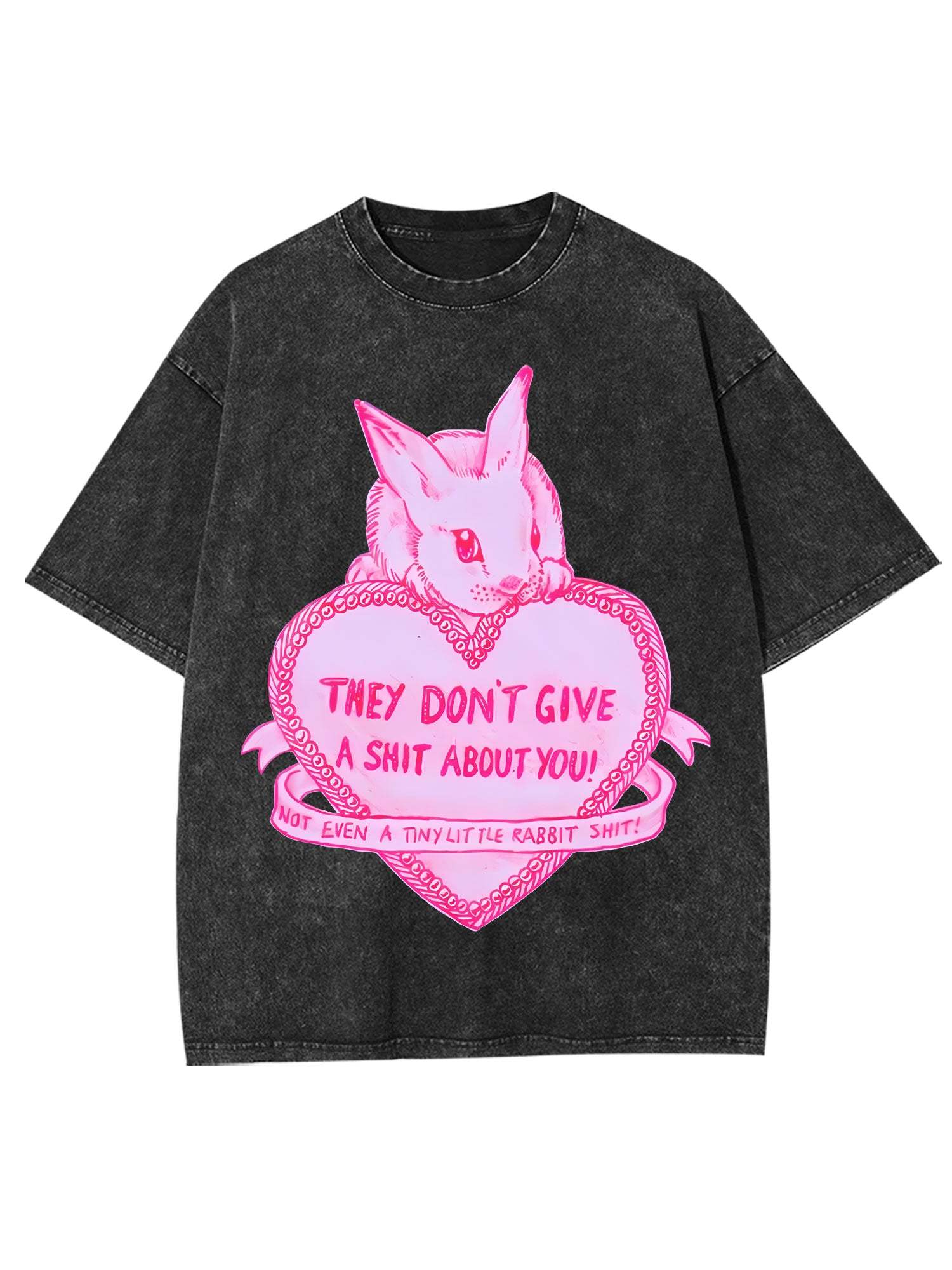 They Don't Give A Shit About You Washed Tshirt