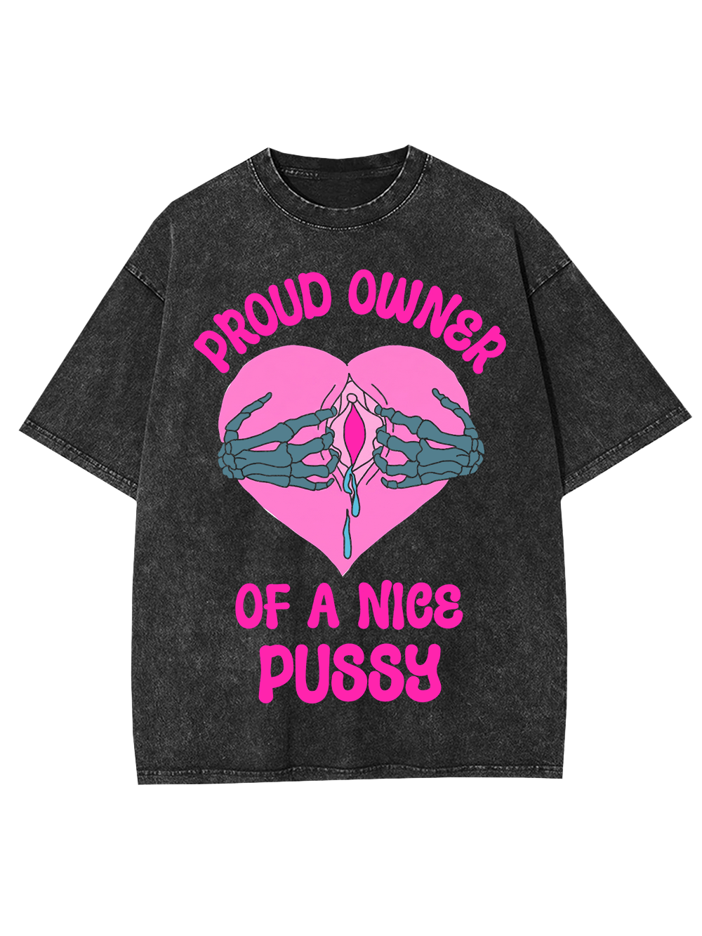 PROUD OWNER OF A NICE PUSSY WASHED TSHIRT