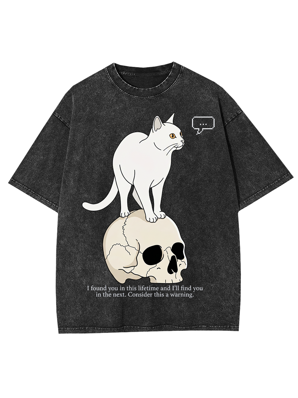 CAT OF MANY LIFETIMES WASHED TSHIRT