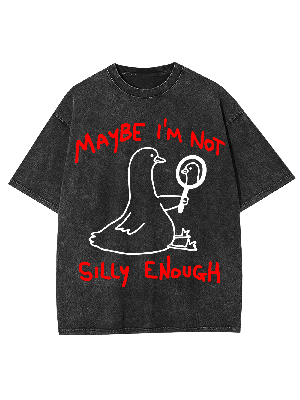 MAYBE I’M NOT SILLY ENOUGH AAA WASHED TSHIRT