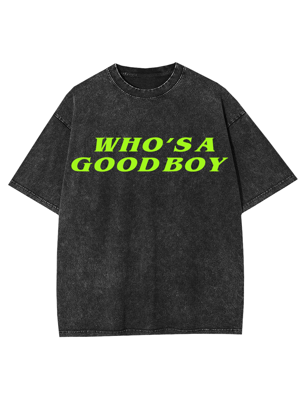 WHO’S A GOOD BOY AAA WASHED TSHIRT