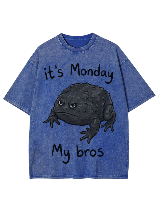 It's Monday My bros Washed Tshirt