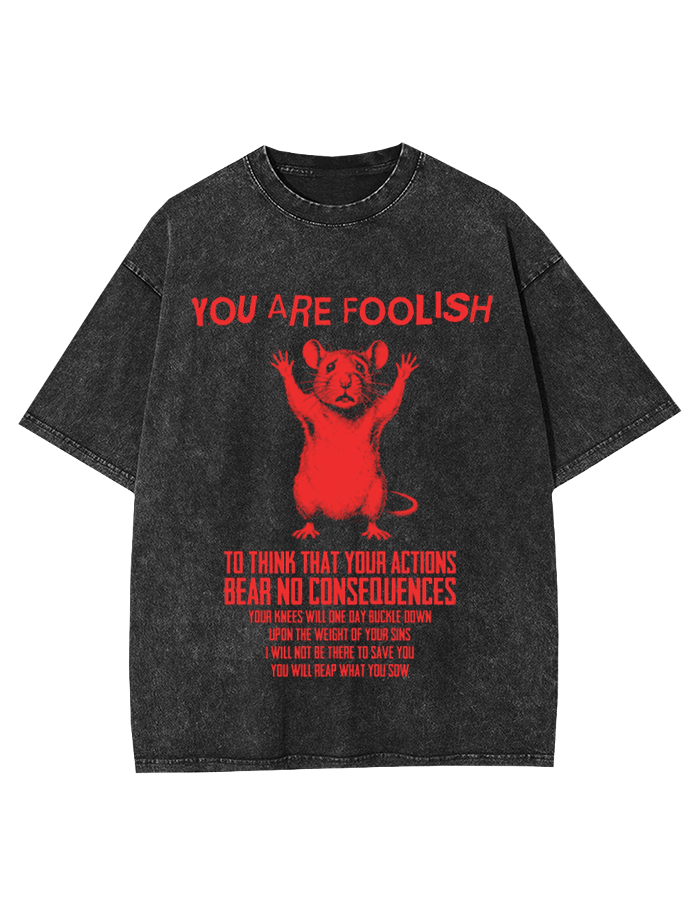 Echo of Consequence Washed Tshirt