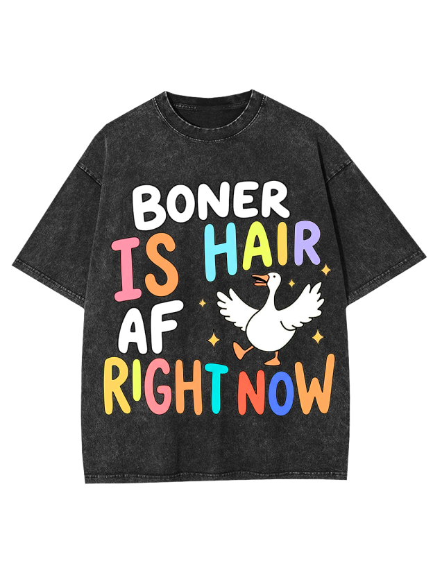 BONER IS HAIR AF RIGHT NOW Washed Tshirt