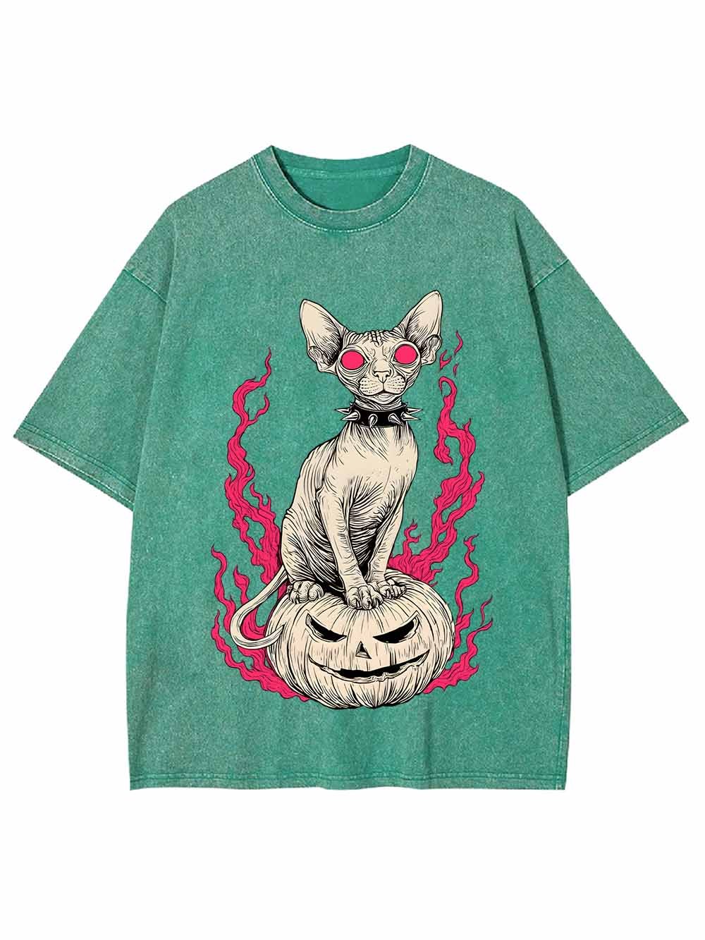 Hairless Cat Pumpkin Flame Washed Tshirt