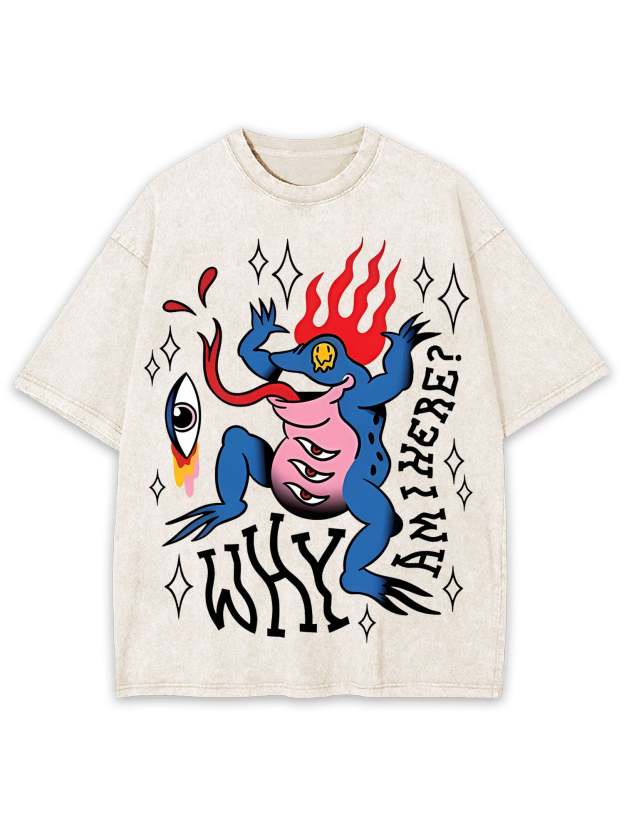 Why Am I Here Washed Tshirt