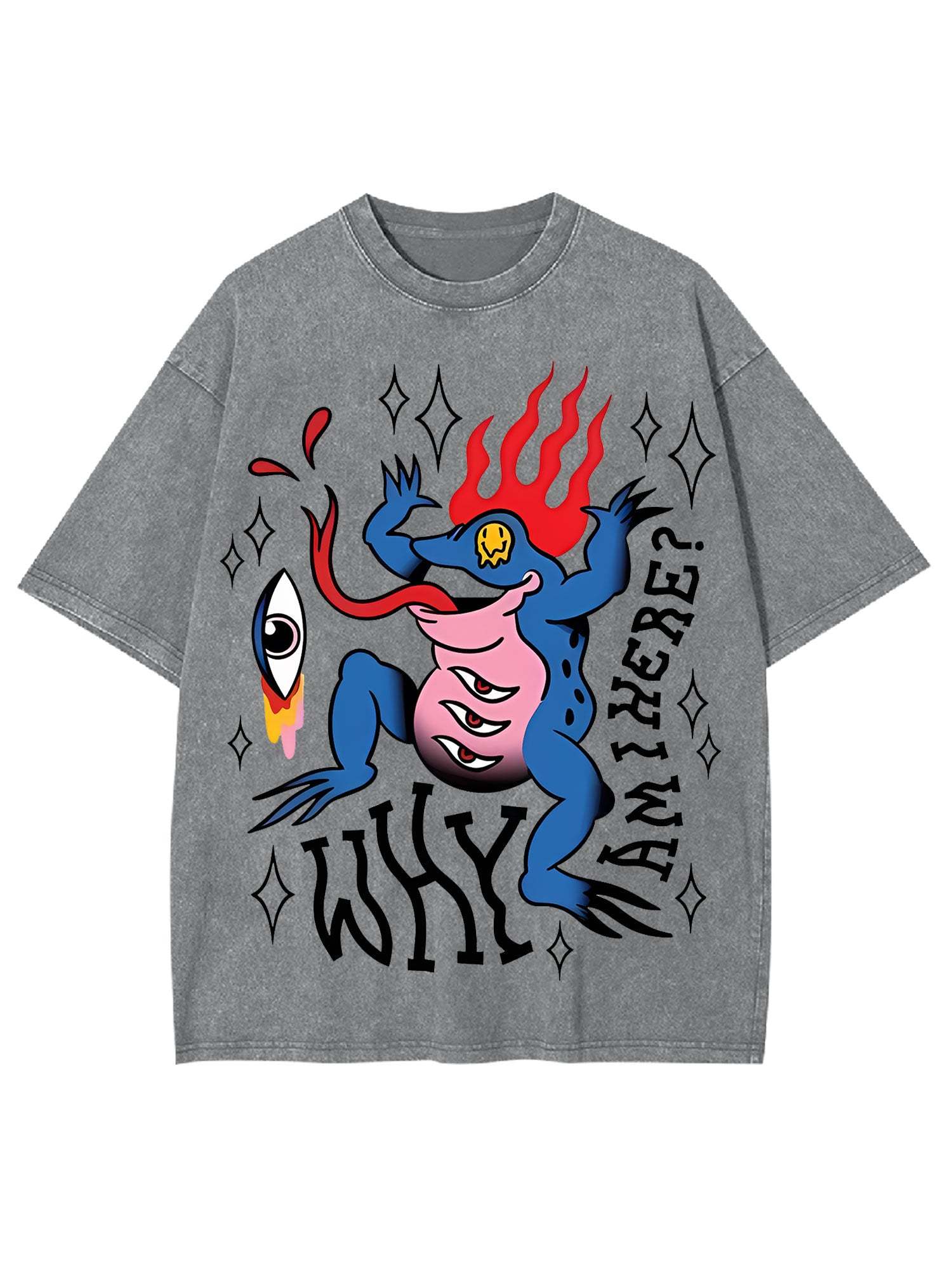 Why Am I Here Washed Tshirt