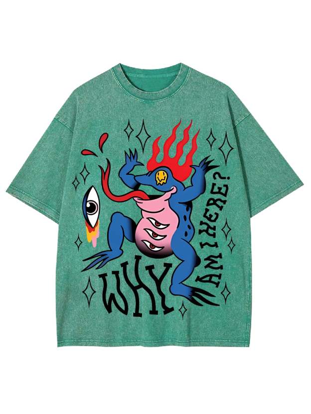 Why Am I Here Washed Tshirt