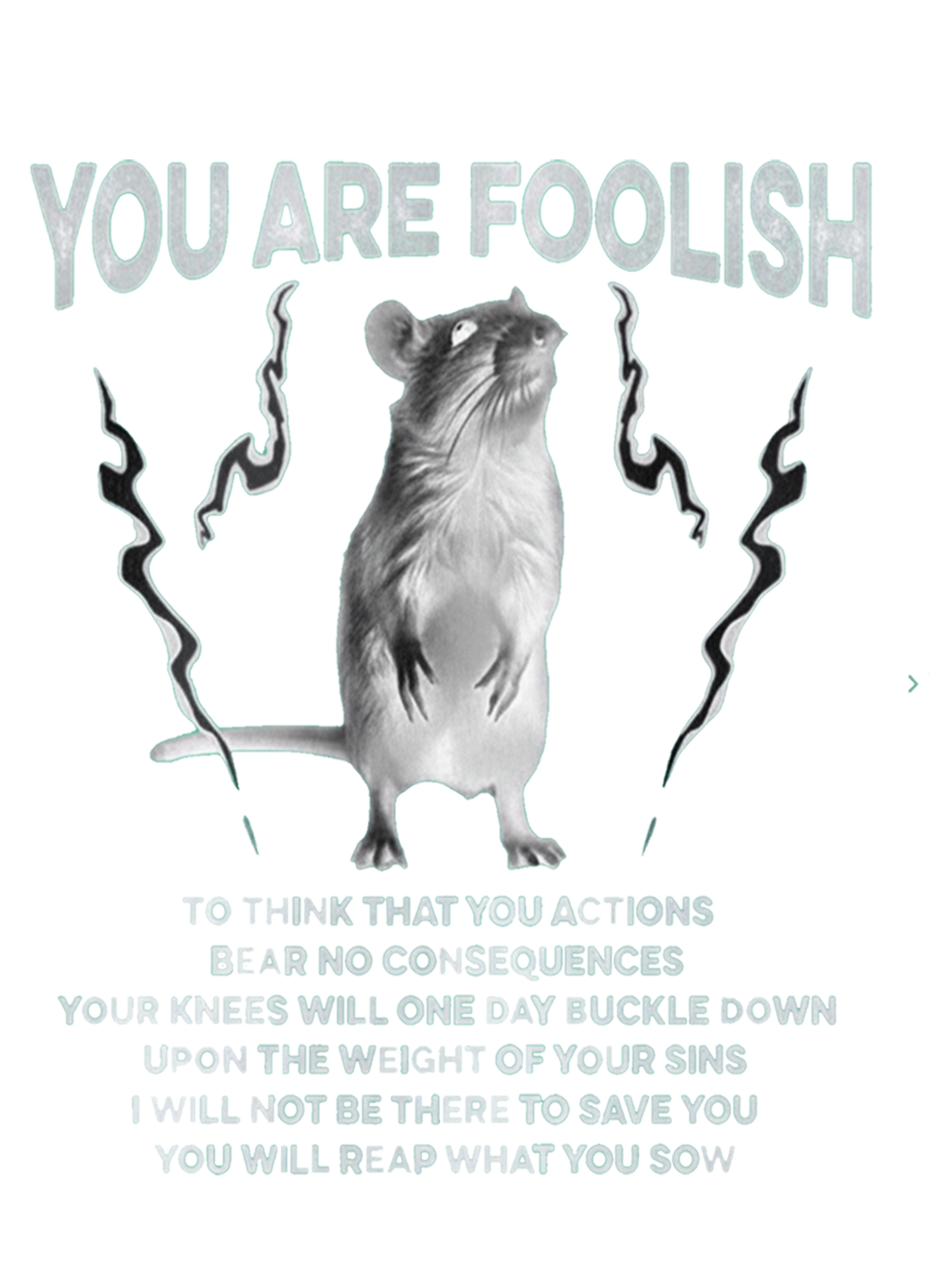 You Are Foolish Washed Tshirt