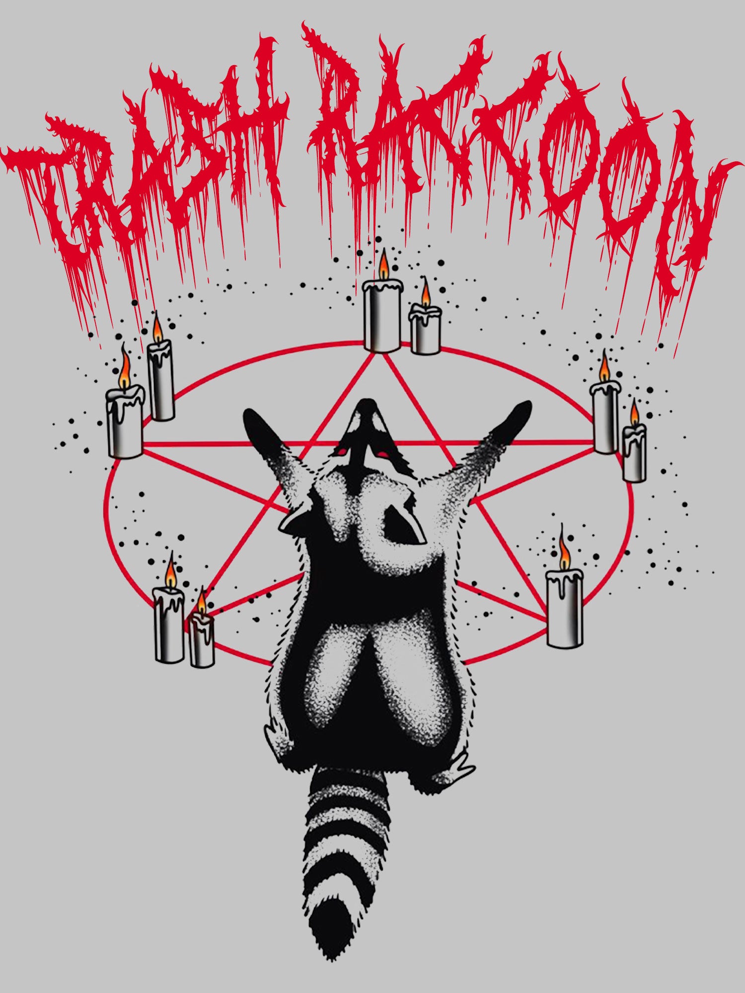Trash Raccoon Washed Tshirt