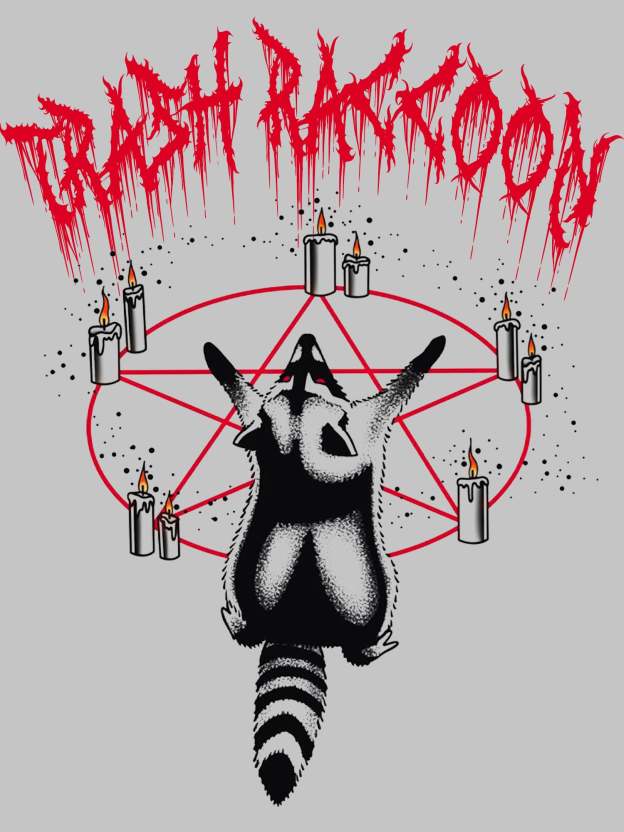 Trash Raccoon Washed Tshirt