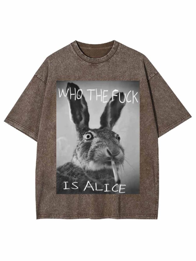 WHO THE FUCK IS ALICE WASHED TSHIRT