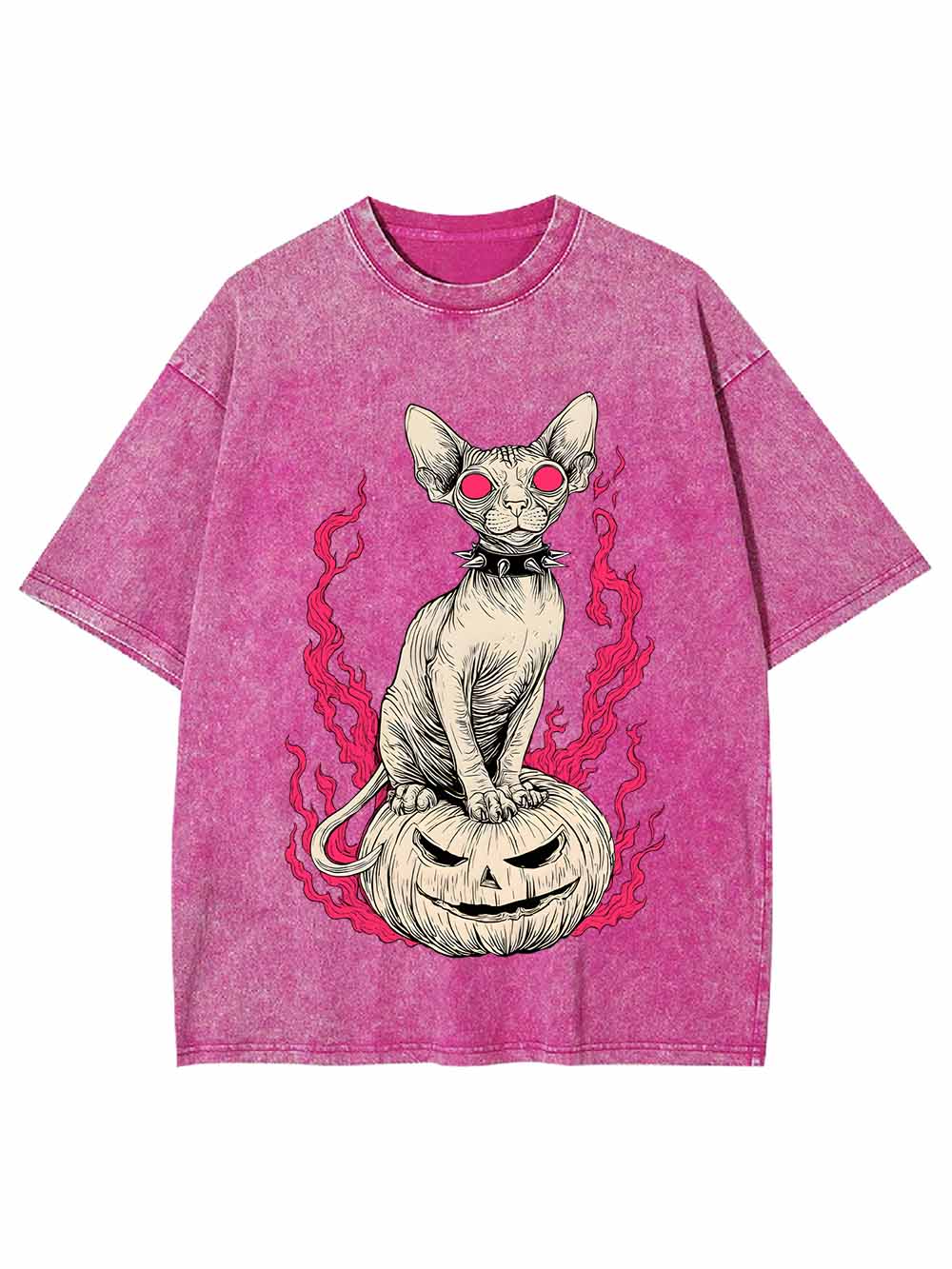 Hairless Cat Pumpkin Flame Washed Tshirt