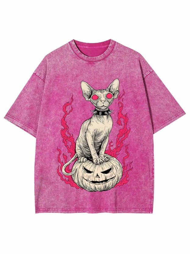 Hairless Cat Pumpkin Flame Washed Tshirt