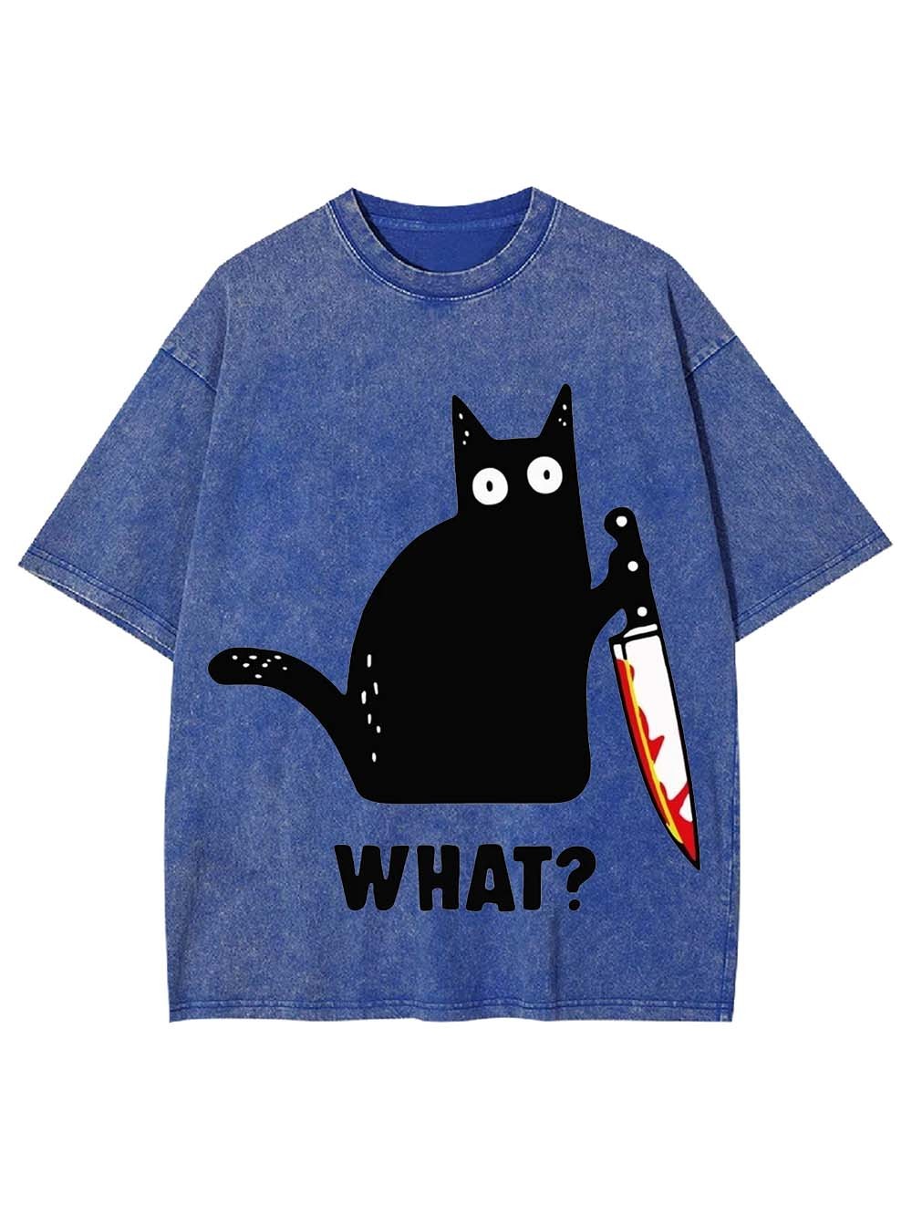 BLACK CAT CONFUSION WASHED TSHIRT