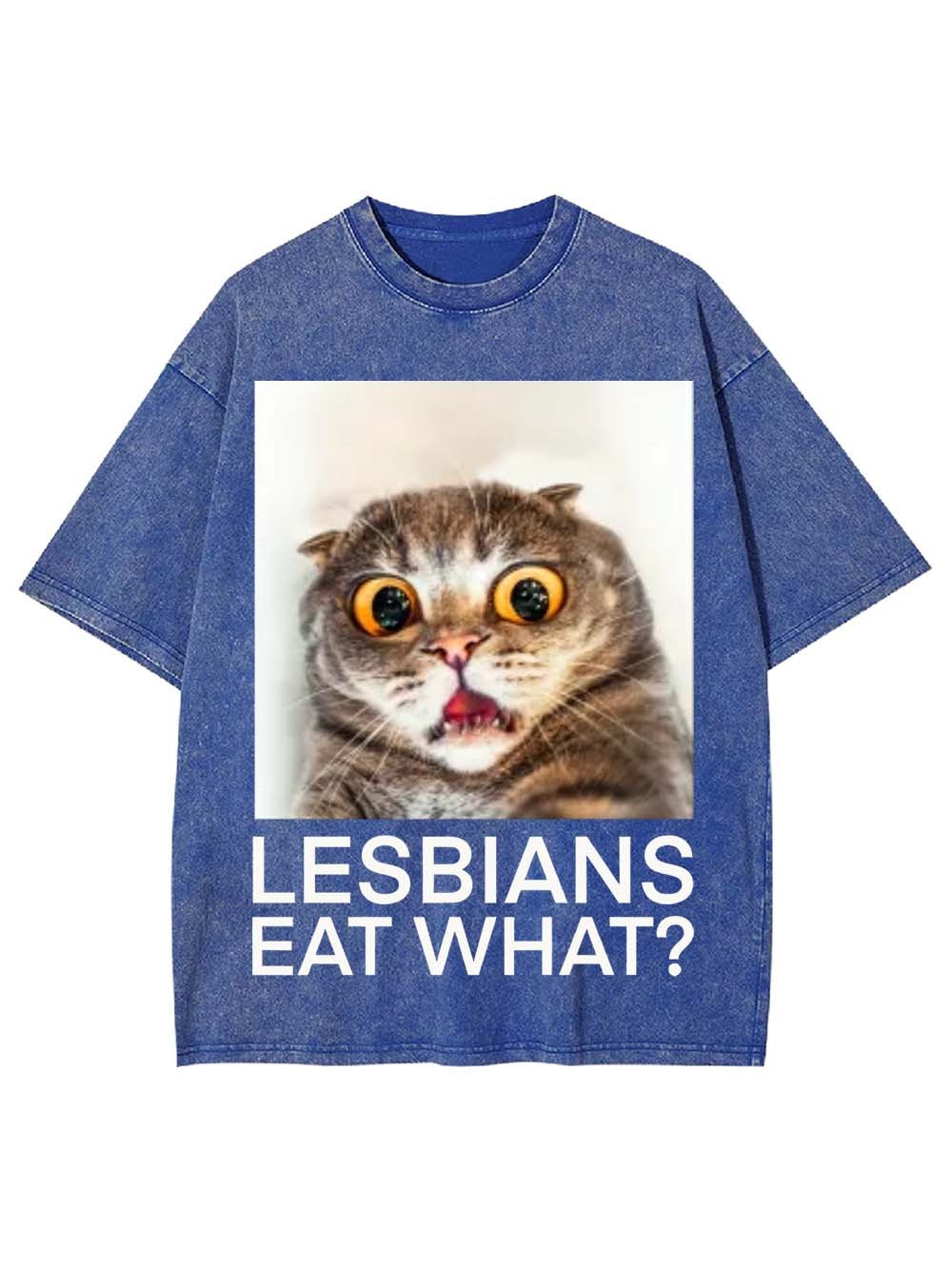 LESBIANS EAT WHAT? WASHED TSHIRT