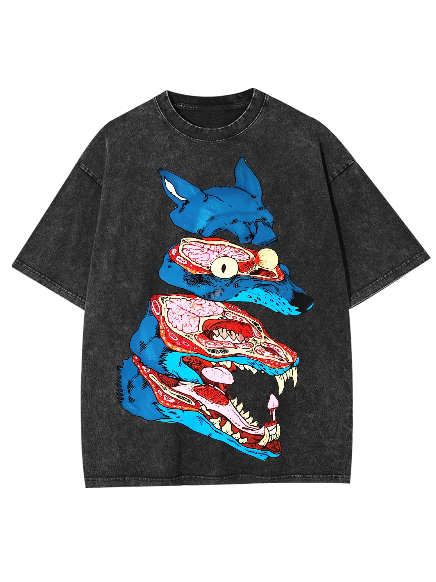 Anatomy Of The Wild Beast Washed Tshirt