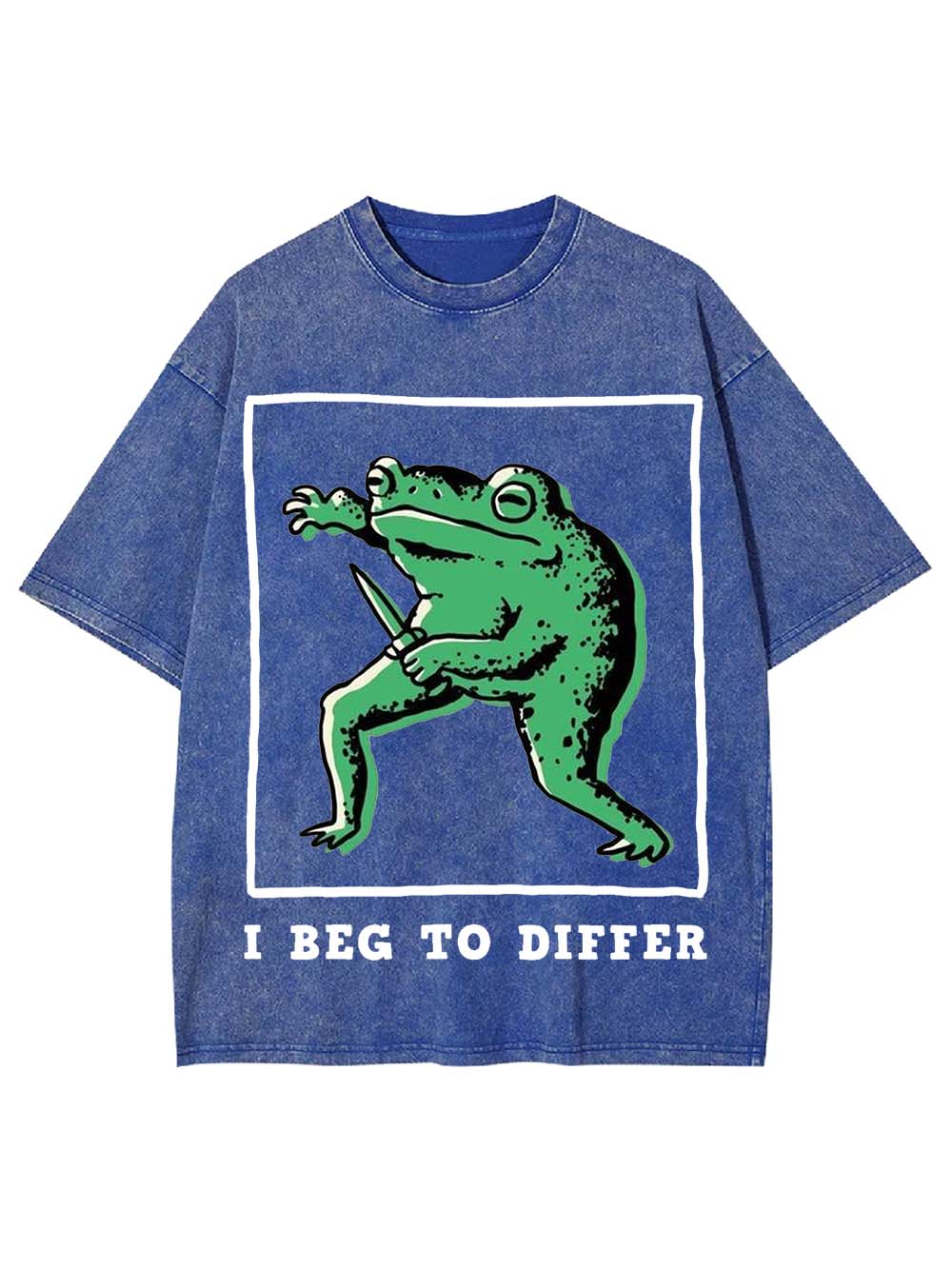 I Beg To Differ Washed Tshirt