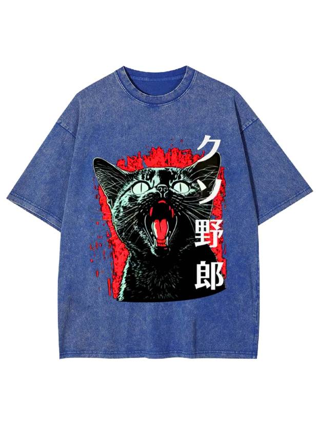 Fierce Feline Fury Washed Tshirt