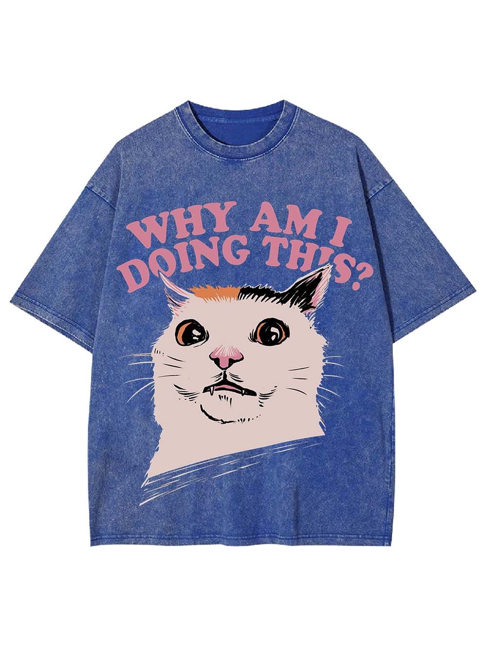 Why Am I Doing This? Washed Tshirt