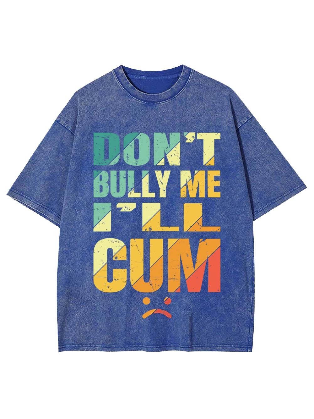 Don't Bully Me I'll Cum Washed Tshirt
