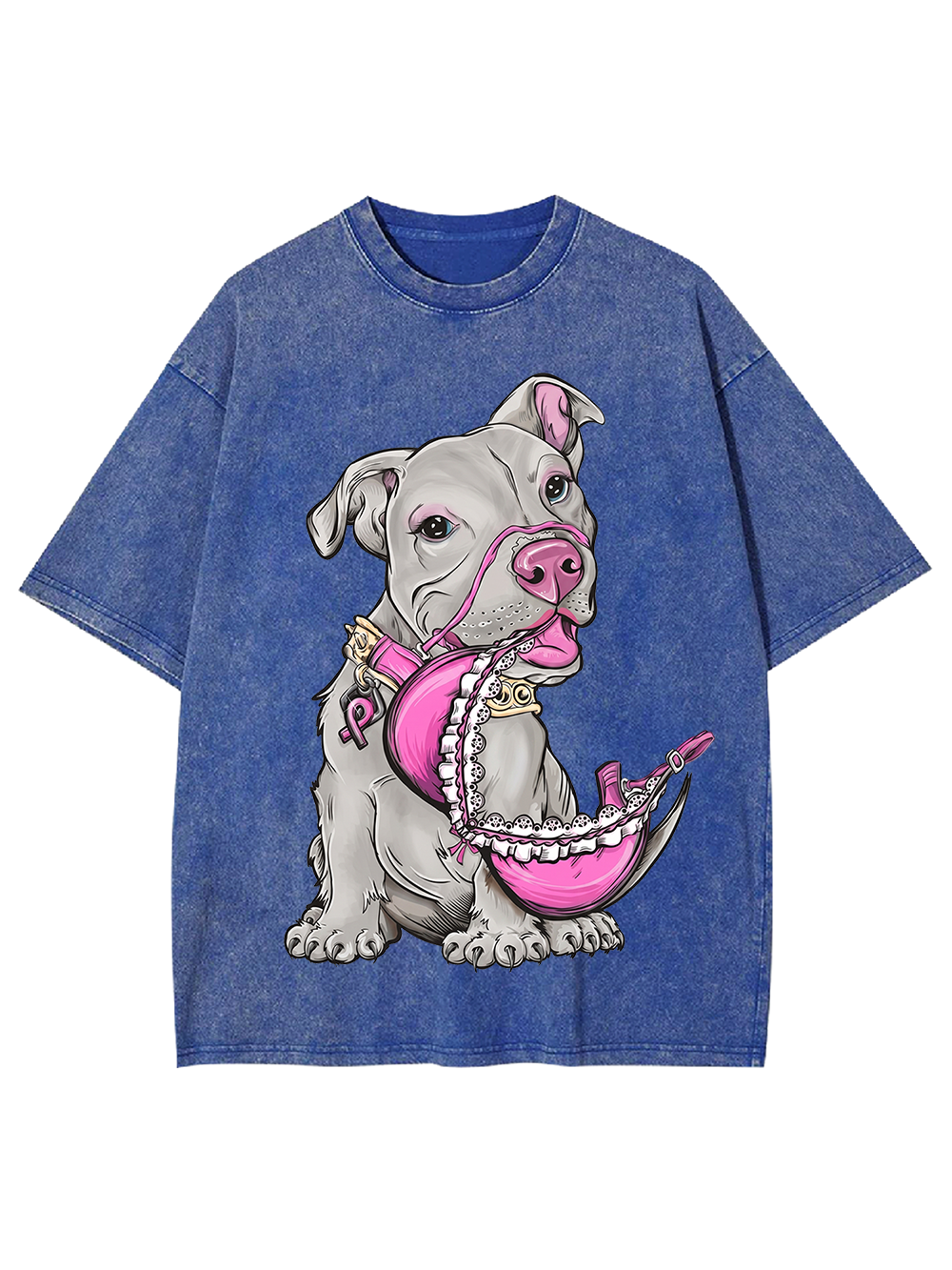 DOG'S DESIRE WASHED TSHIRT