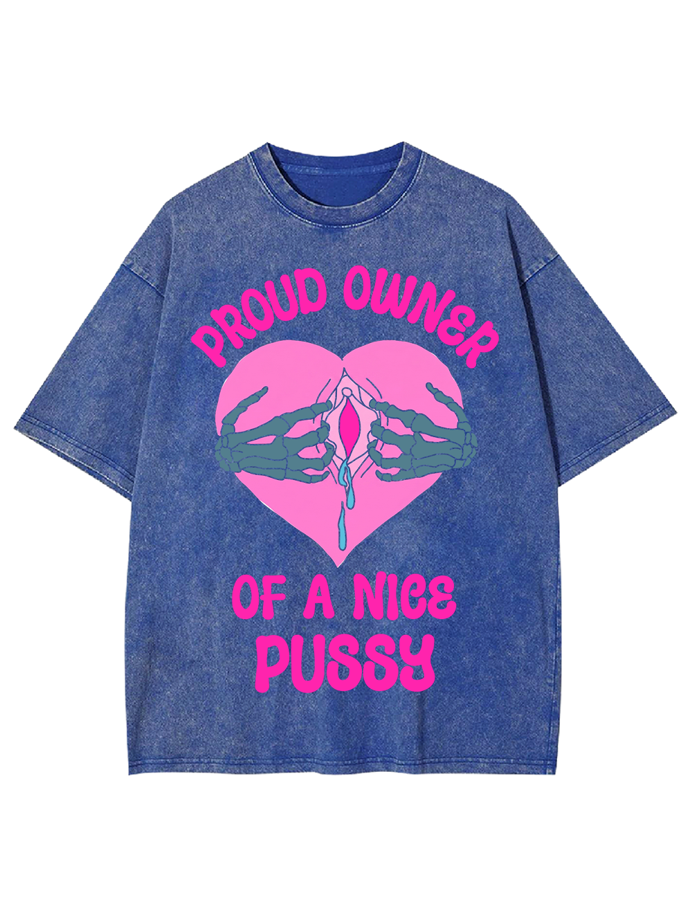 PROUD OWNER OF A NICE PUSSY WASHED TSHIRT