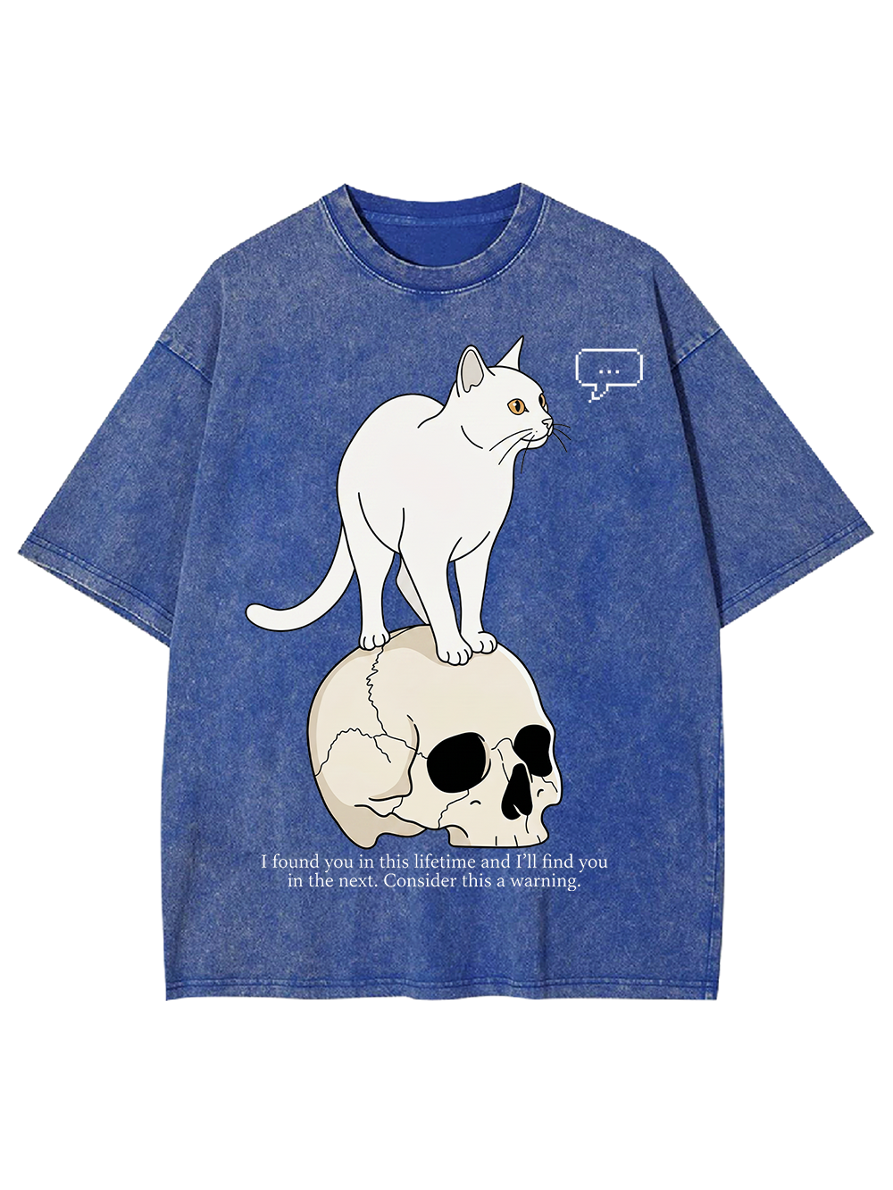 CAT OF MANY LIFETIMES WASHED TSHIRT