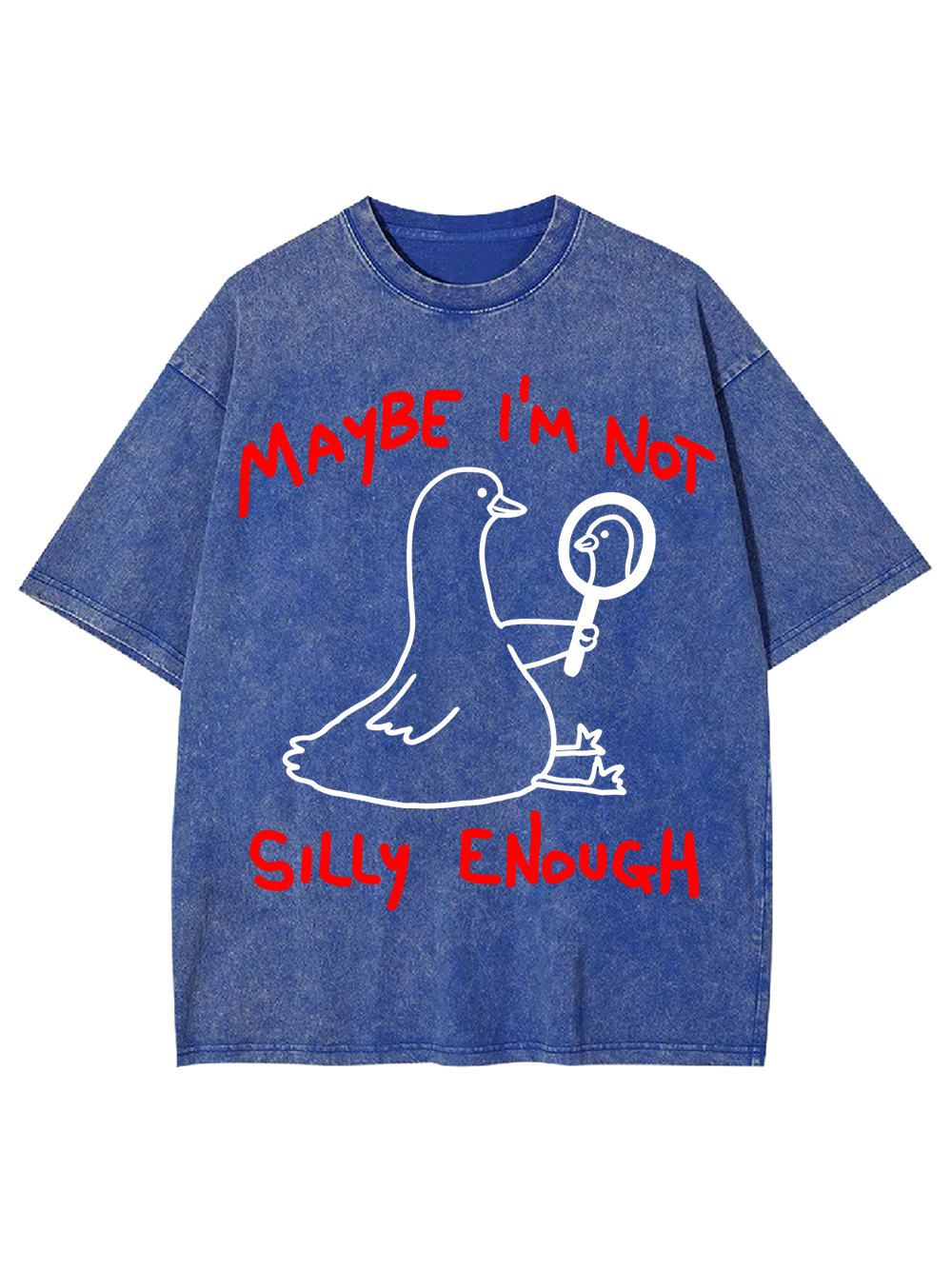 MAYBE I’M NOT SILLY ENOUGH AAA WASHED TSHIRT