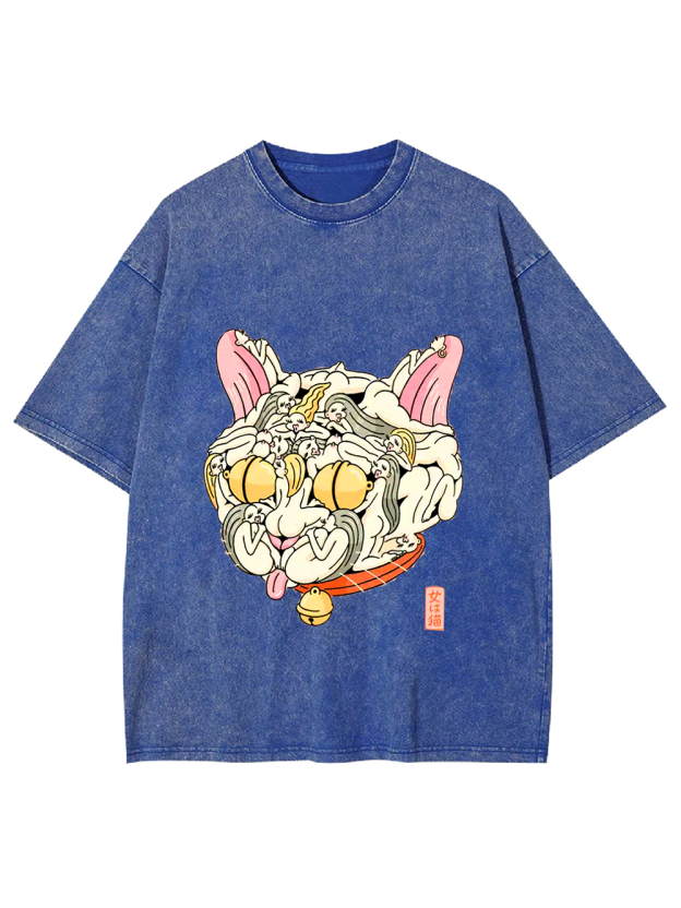 Cat of Many Faces Washed Tshirt