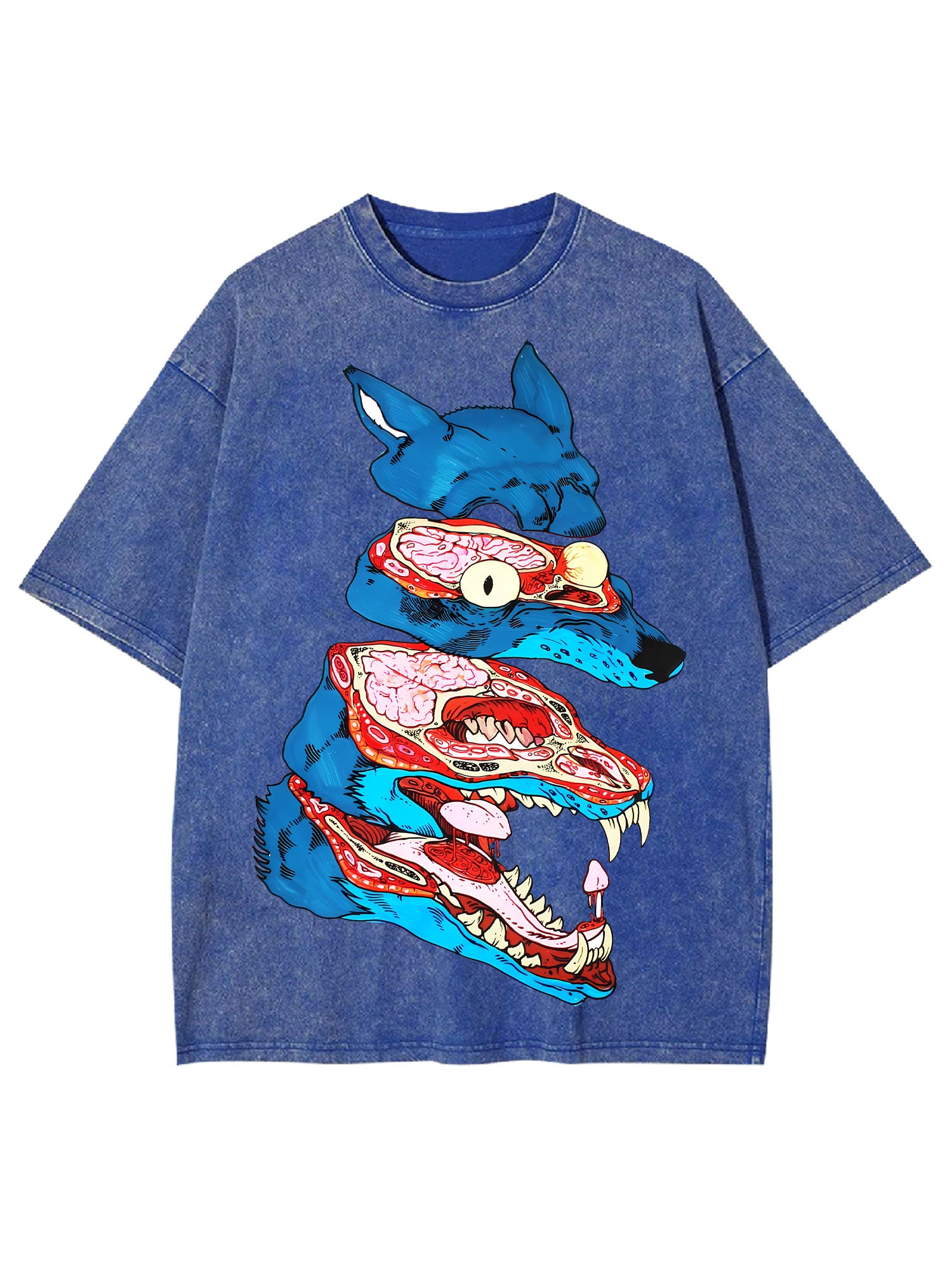 Anatomy Of The Wild Beast Washed Tshirt