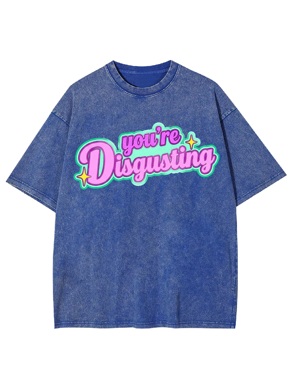 YOU’RE DISGUSTING AAA WASHED TSHIRT