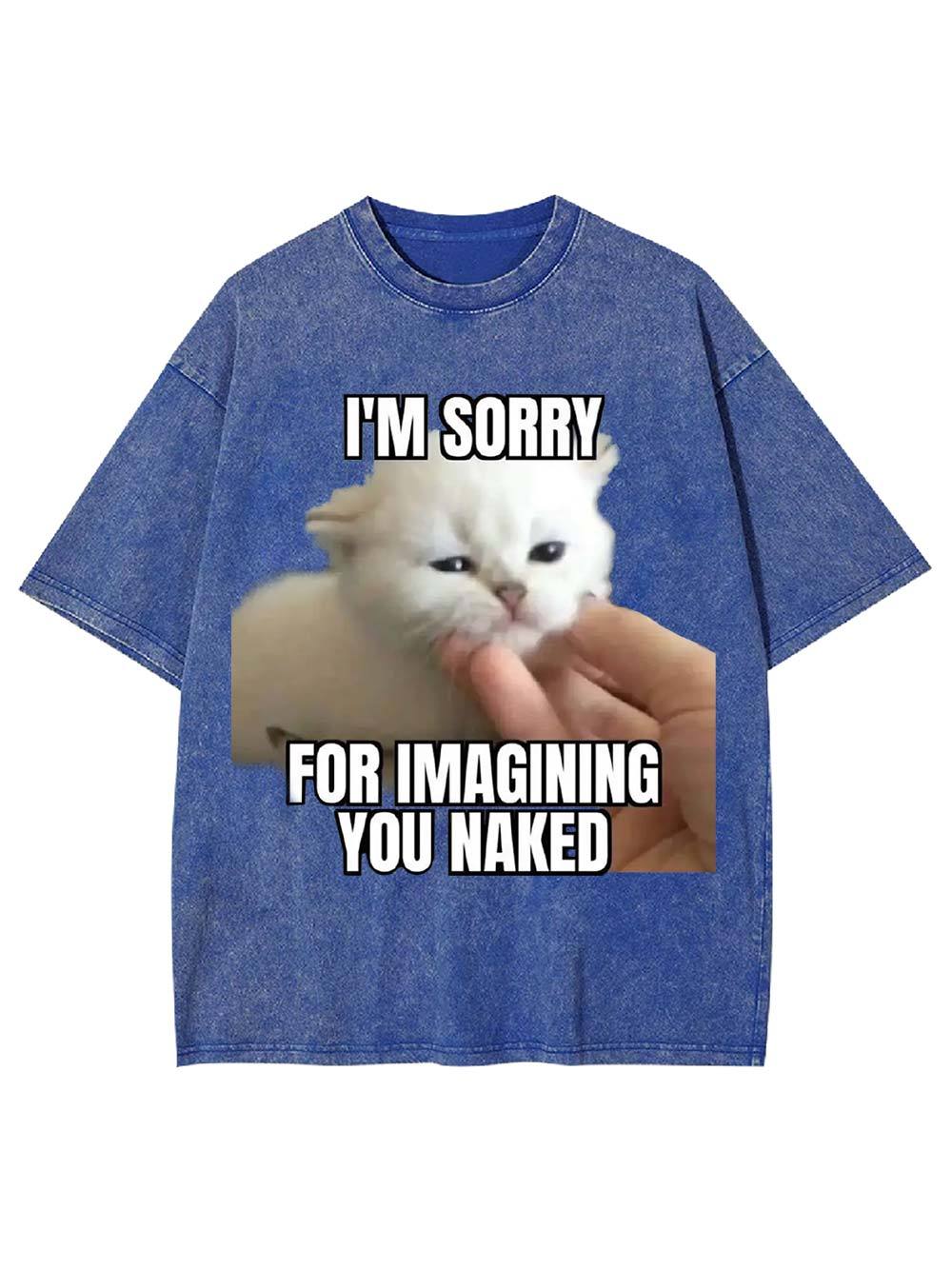I'm Sorry for Imagining You Naked Washed Tshirt