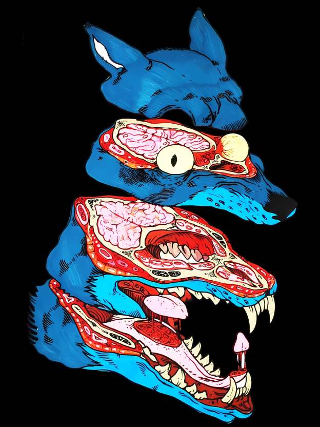 Anatomy Of The Wild Beast Washed Tshirt