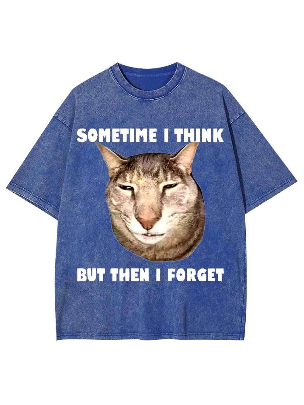 Sometime I Think   But Then I Forget  Washed Tshirt
