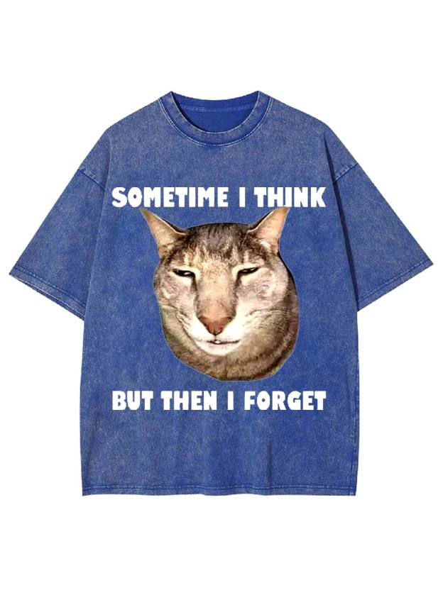 Sometime I Think   But Then I Forget  Washed Tshirt