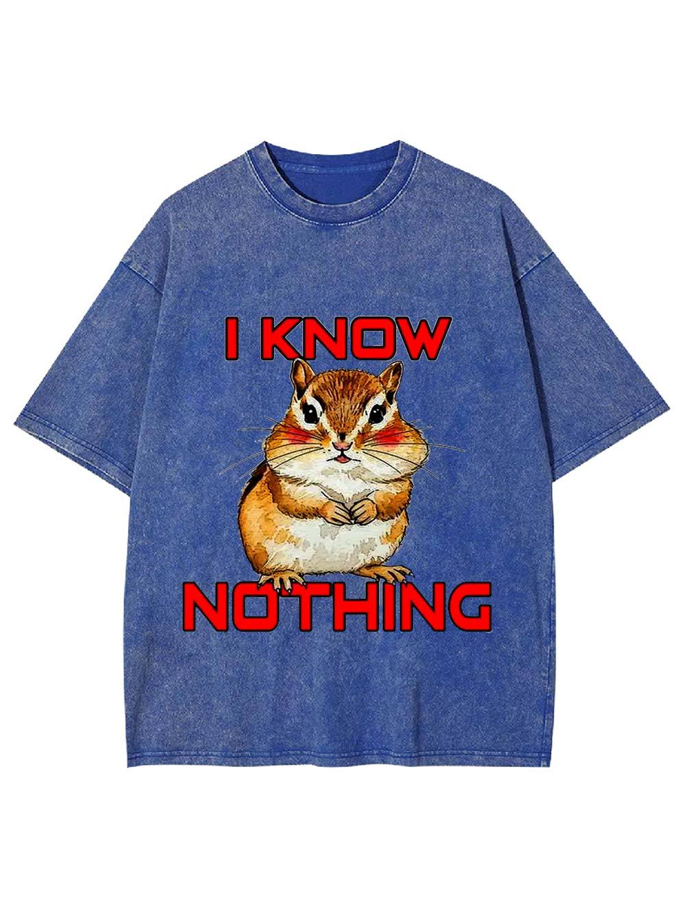 I Know Nothing Washed Tshirt