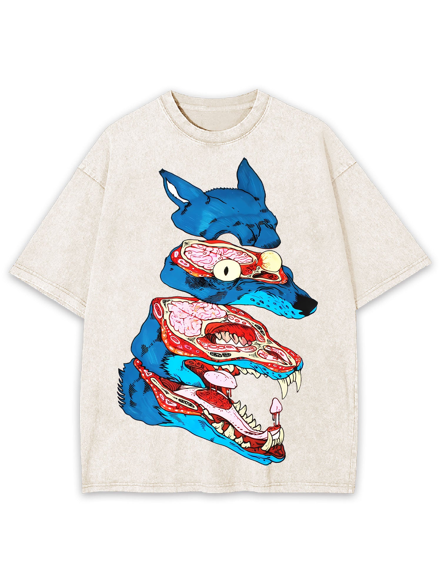 Anatomy Of The Wild Beast Washed Tshirt
