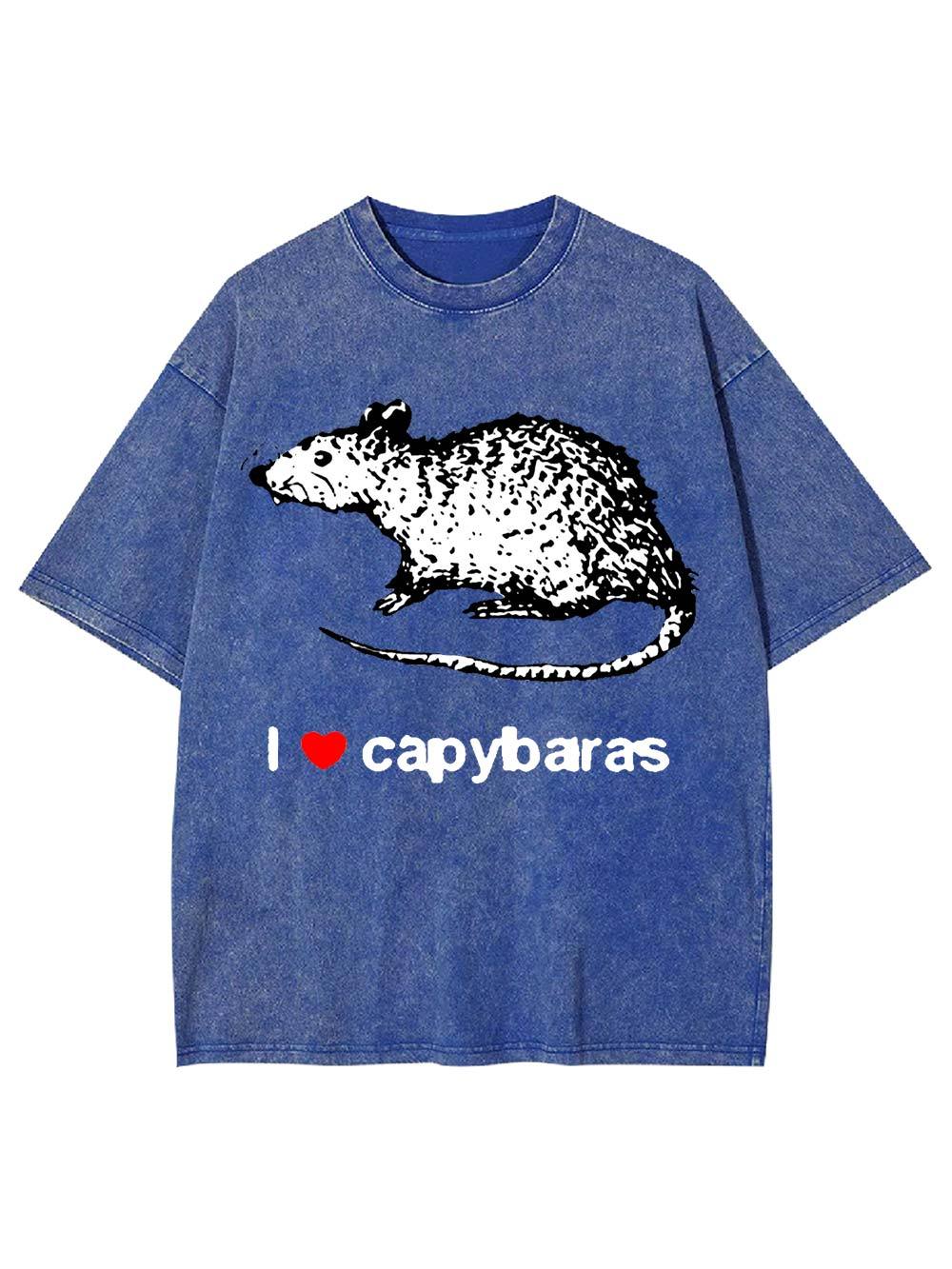 I Love Capybaras Washed Tshirt