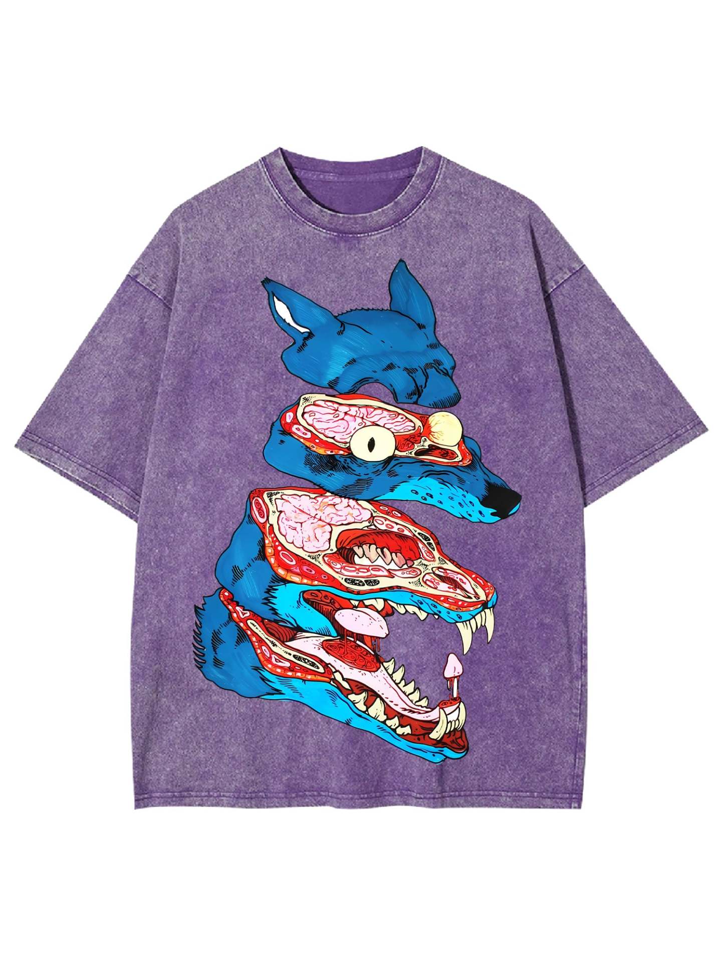 Anatomy Of The Wild Beast Washed Tshirt-ClassyOutlaw Sale