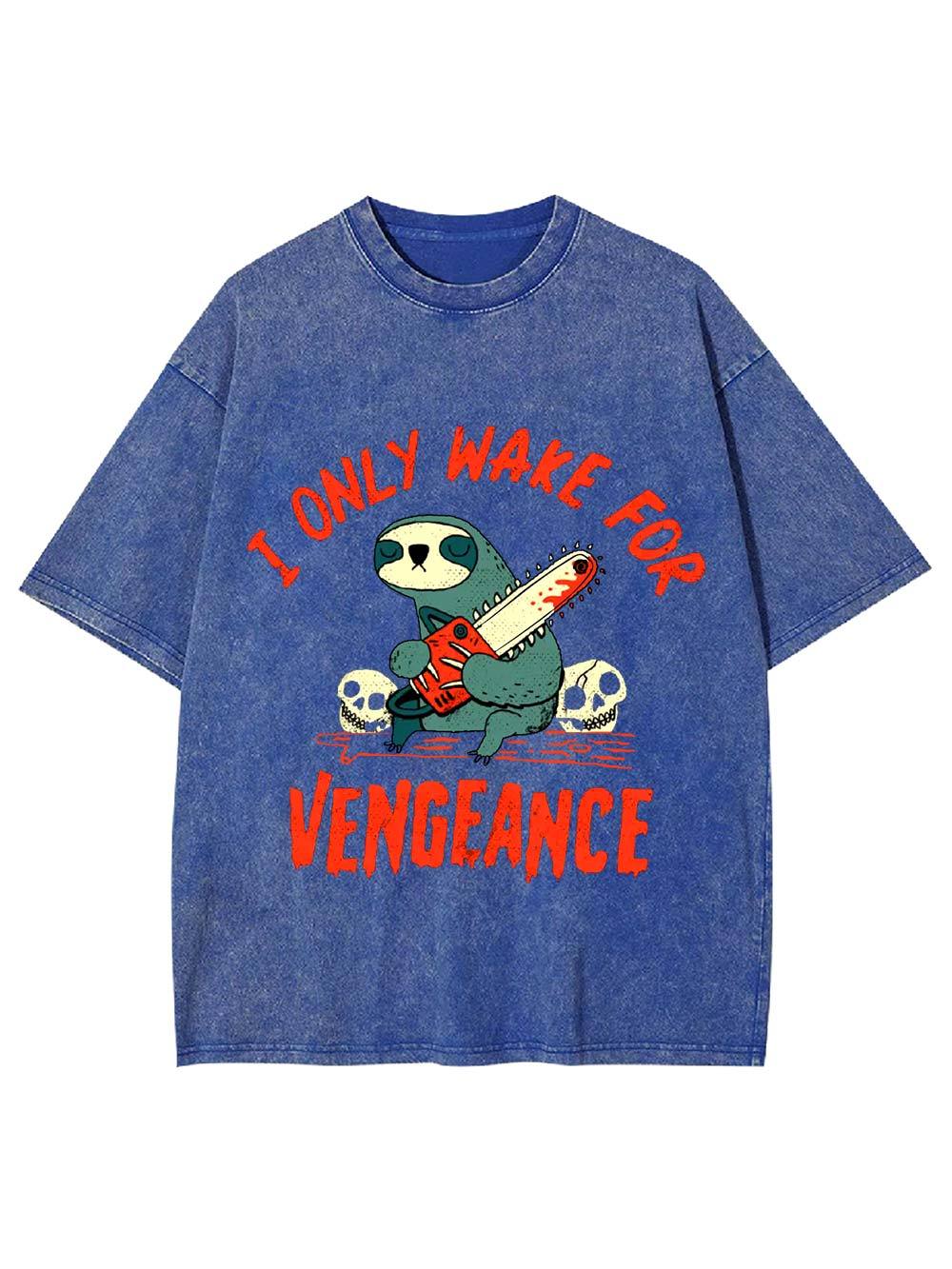 I Only Wake For Vengeance Washed Tshirt