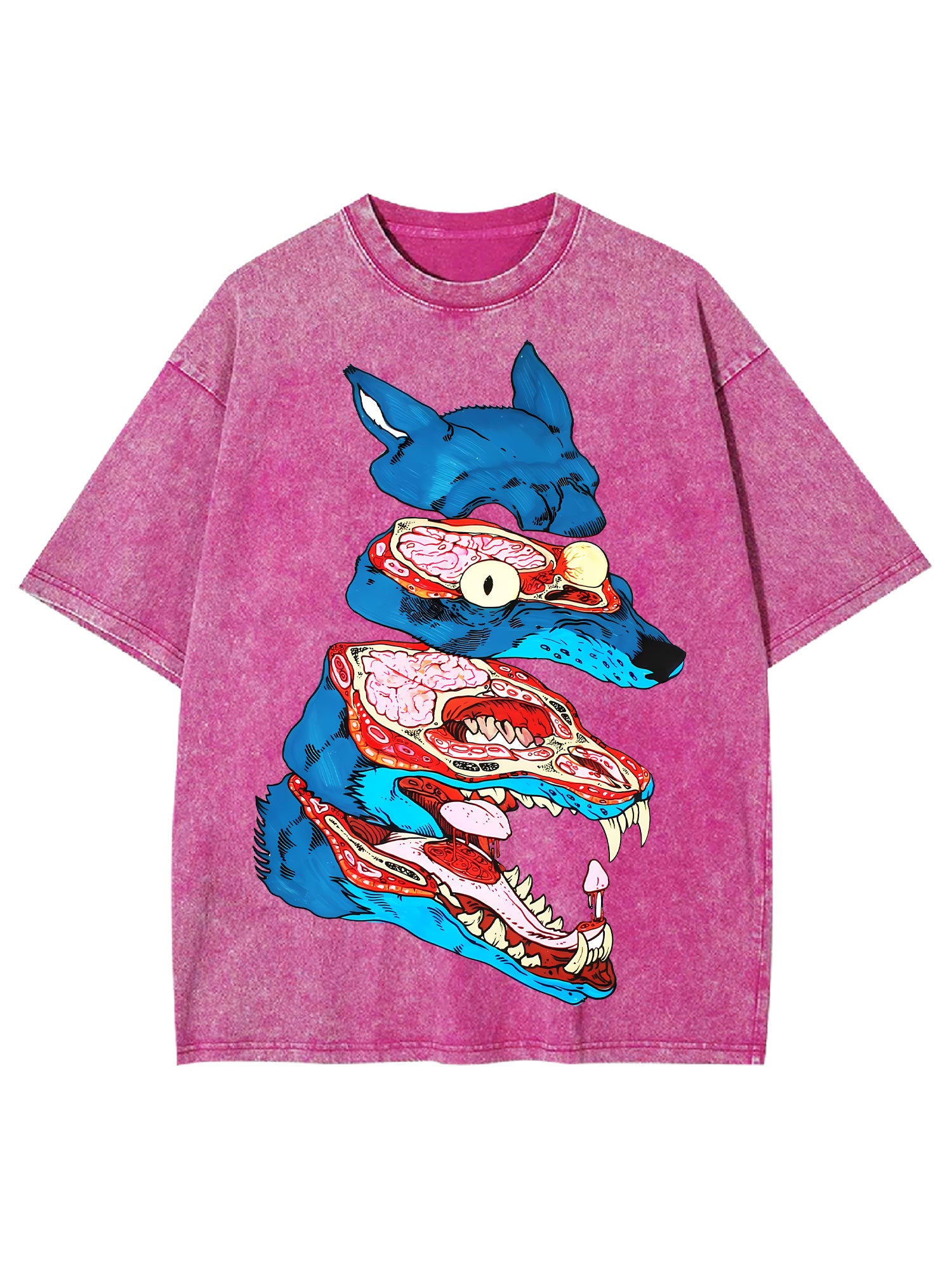 Anatomy Of The Wild Beast Washed Tshirt