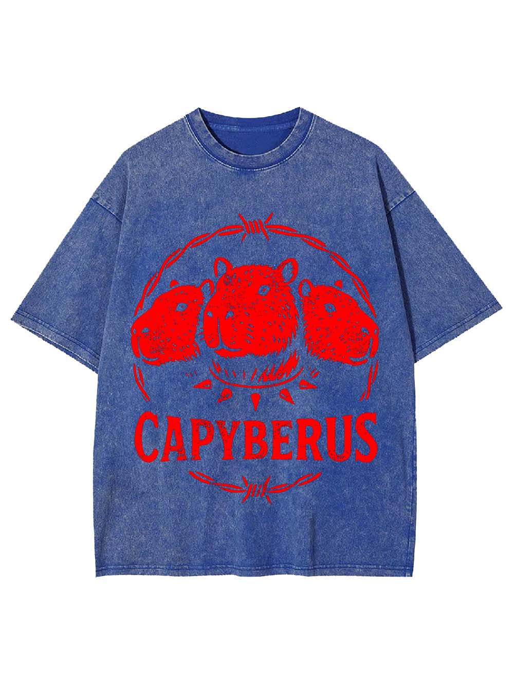 Capyberus Washed Tshirt