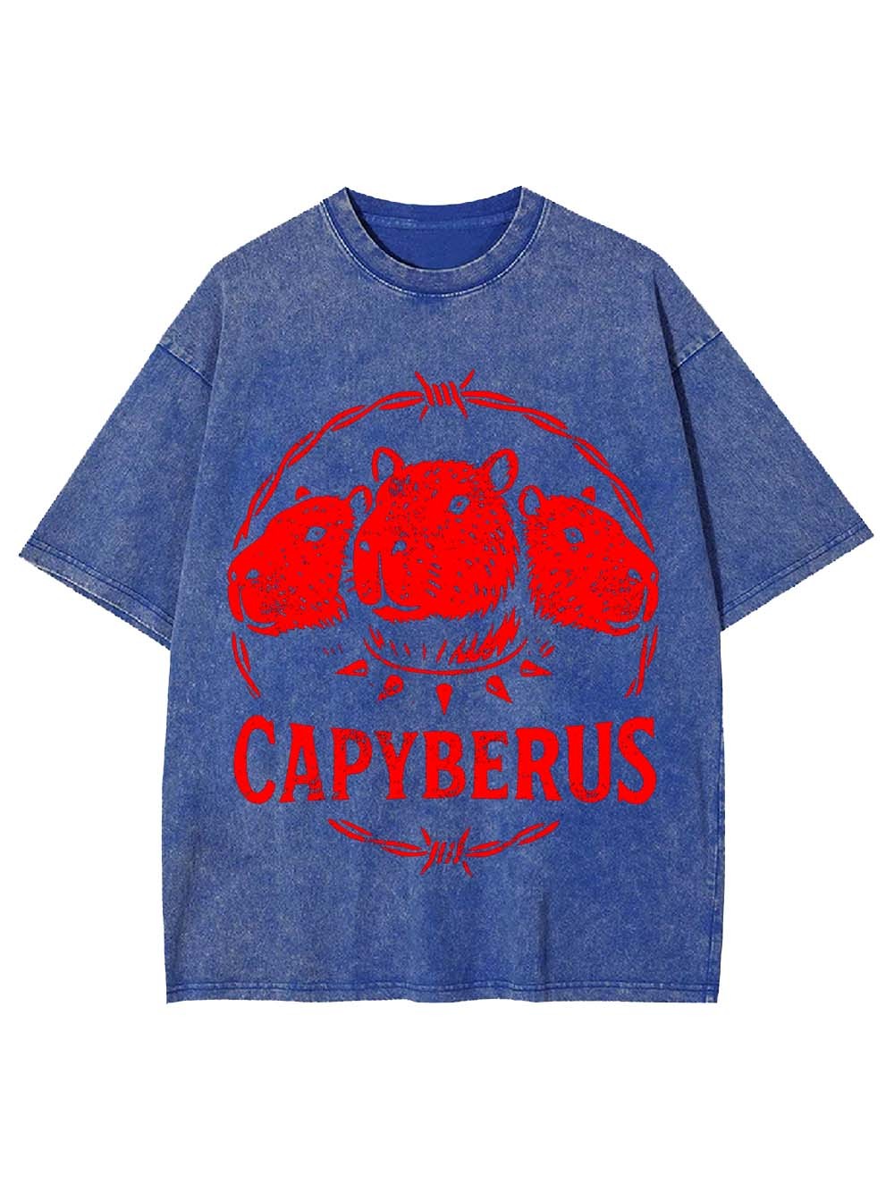 Capyberus Washed Tshirt
