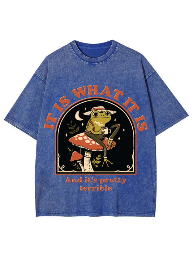 It Is What It Is Washed Tshirt