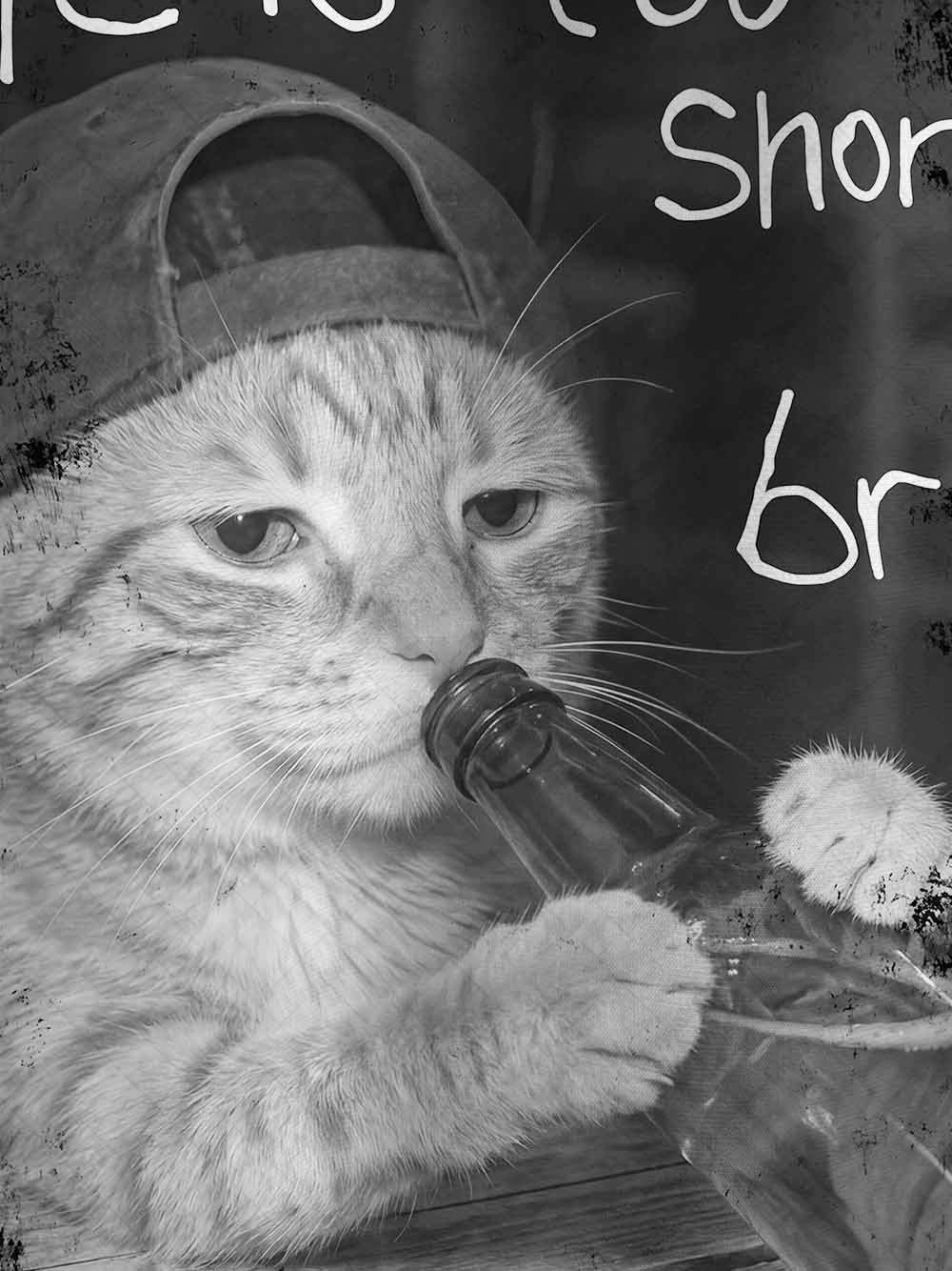 Life Is Too Short, Bro Eco Oversized Graphic Tees