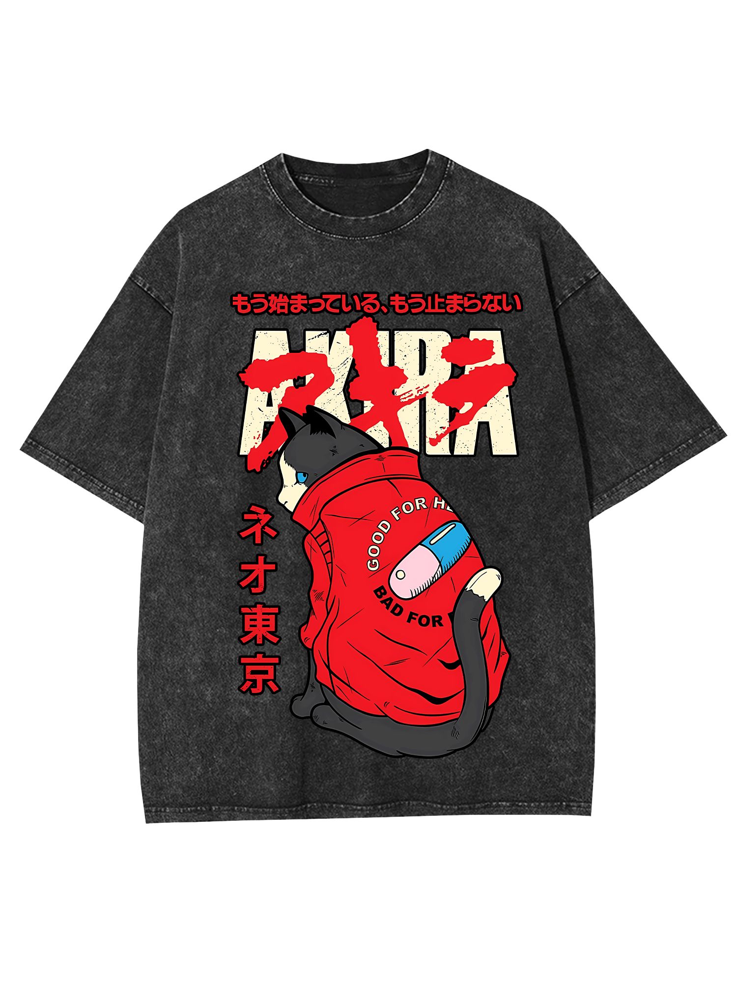 Akira Washed Tshirt