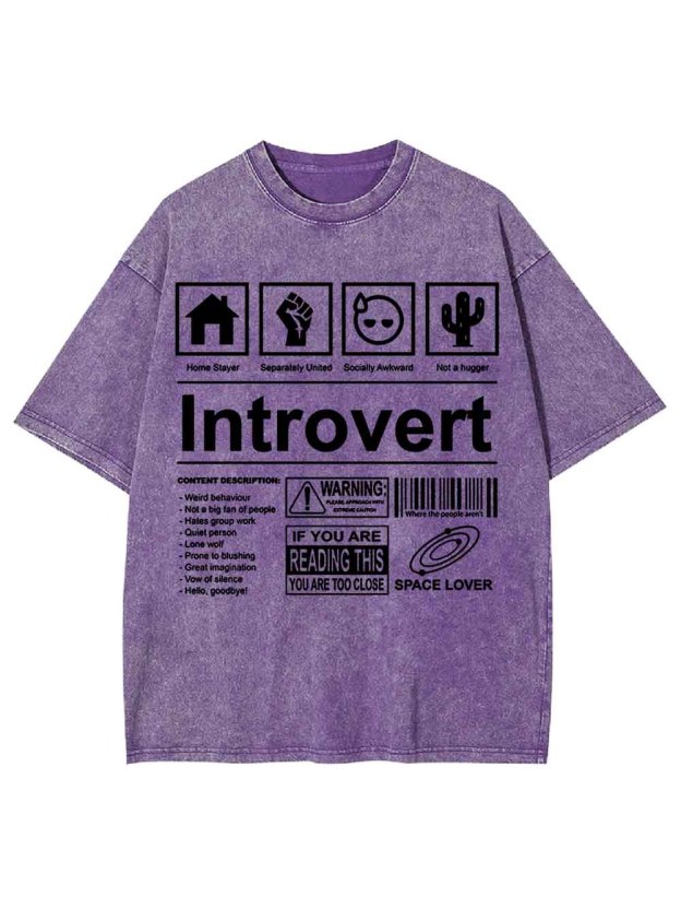 Introvert Washed Tshirt